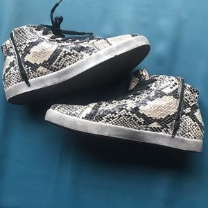 Carbon Elements Size 8/9 Skate Shoe Style “Twinkle” Hi-Tops